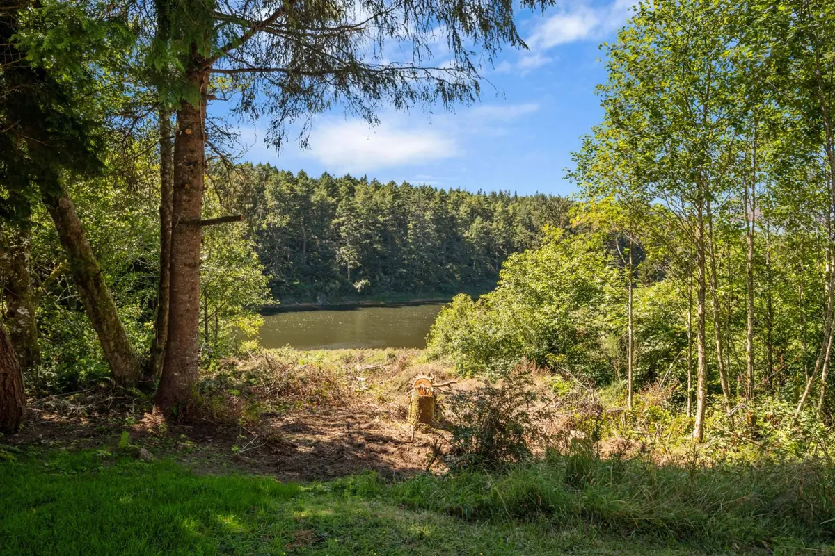 This view image captures the expansive lake bordered by dense forest, with a cleared area along the shoreline ideal for fishing or launching watercraft. The image evokes serenity and connection with nature, with the lake’s glassy surface and a sense of privacy. There’s a sense of untouched beauty—ideal for both anglers and families seeking a peaceful retreat.