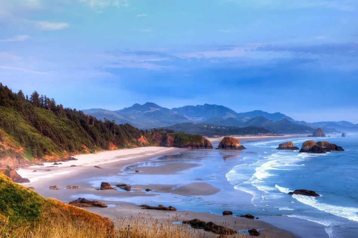 A sweeping coastal view featuring ocean waves crashing onto a sandy shoreline, dramatic rock formations rising from the water, with distant mountains and the forest edge visible. People can be seen exploring tide pools, beachcombing, and enjoying the natural beauty of the area.